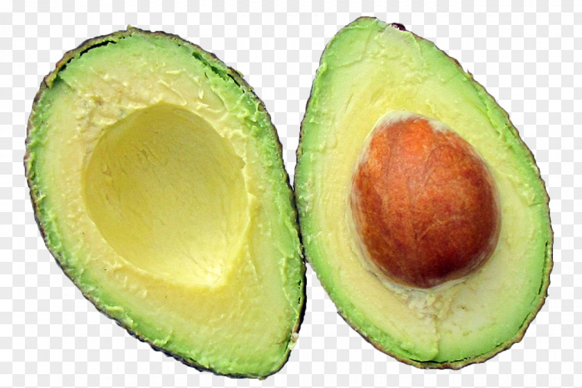 Avocado Low-carbohydrate Diet Burrito Food PNG