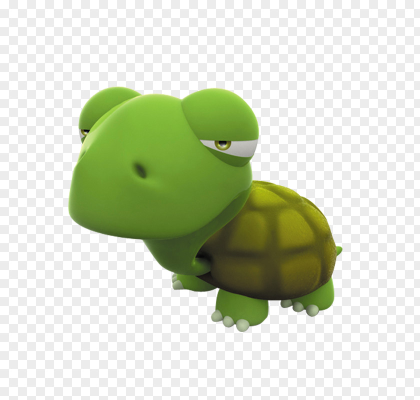 Cartoon Frog Turtle Image Vector Graphics B&B Piazza Roma PNG