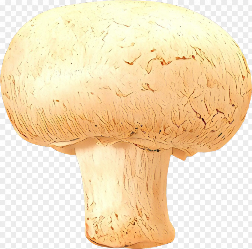 Common Mushroom Medicinal Fungi Medicine PNG