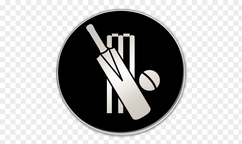 Cricket Balls Vector Graphics Dribbble Illustration PNG