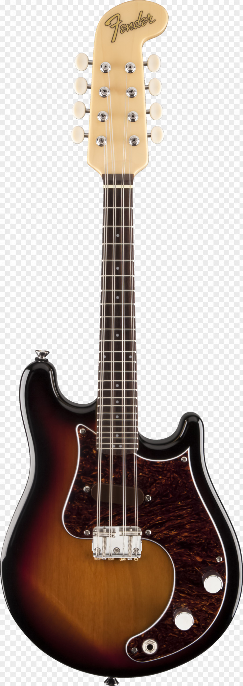 Fender Musical Instruments Corporation Stratocaster Electric Mandolin String PNG