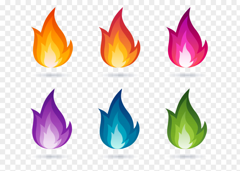 Flame Vector Euclidean Colored Fire PNG
