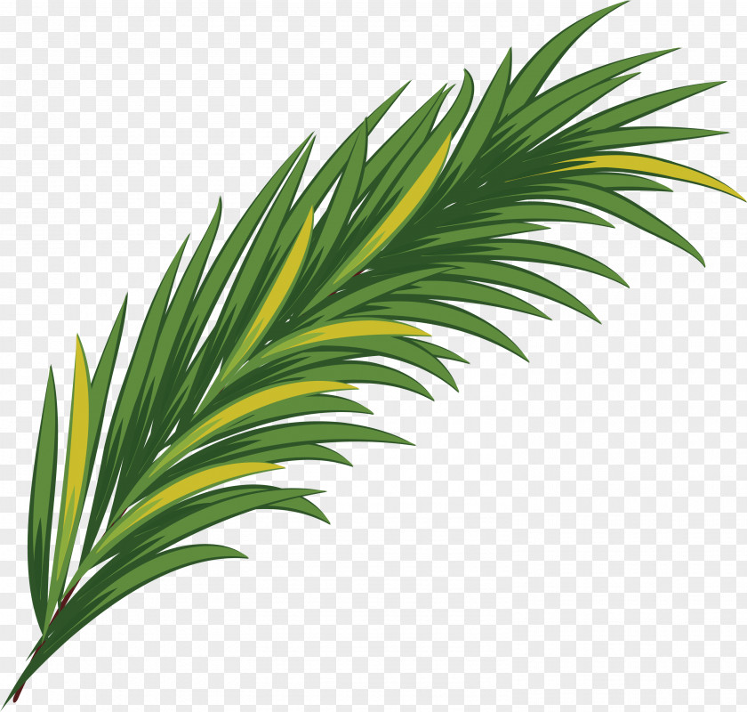 Simple Green Grass Watercolor Painting Leaf PNG