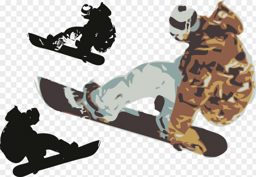 Skateboard Snowboarding Extreme Sport PNG