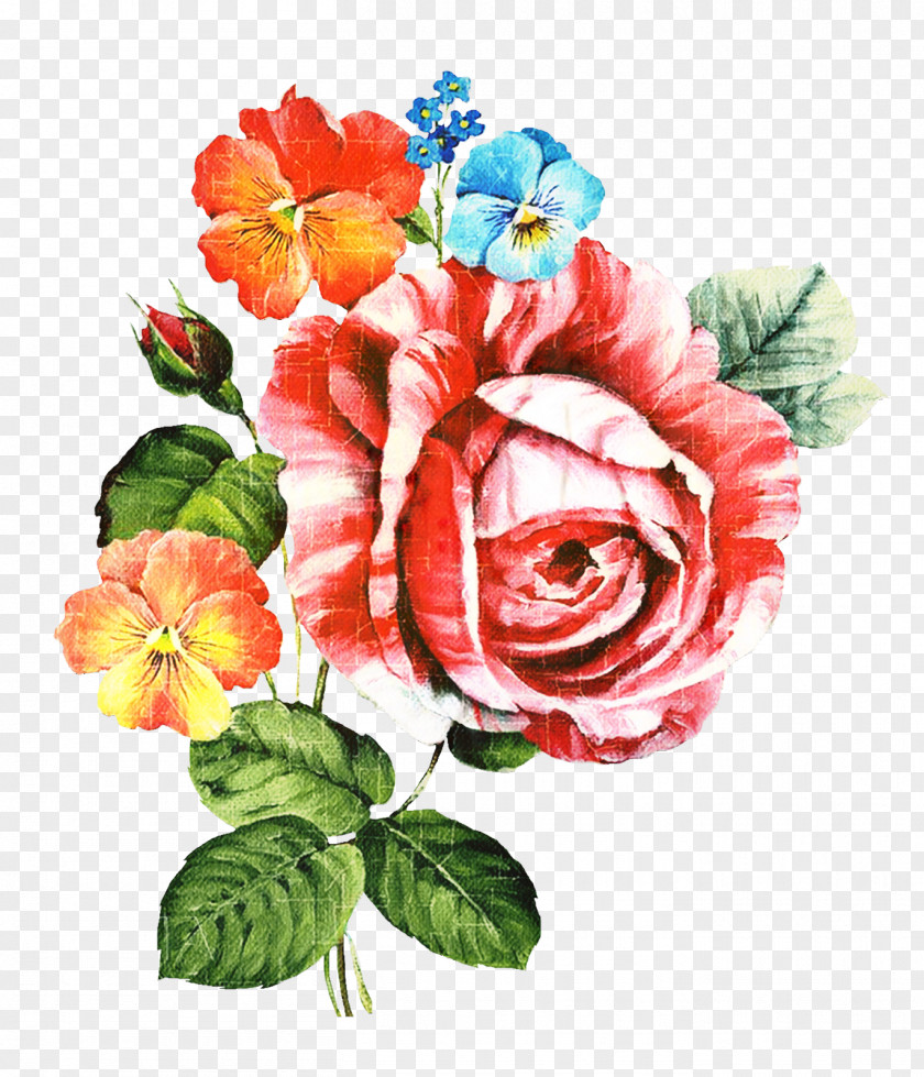 T-shirt Garden Roses Floral Design Cut Flowers Online Shopping PNG