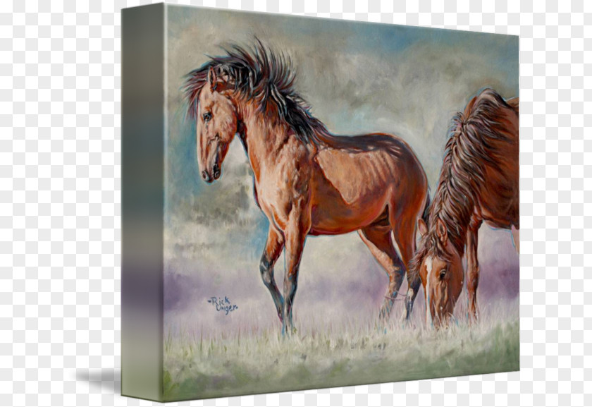 Mustang Stallion Mare Watercolor Painting Ecoregion PNG