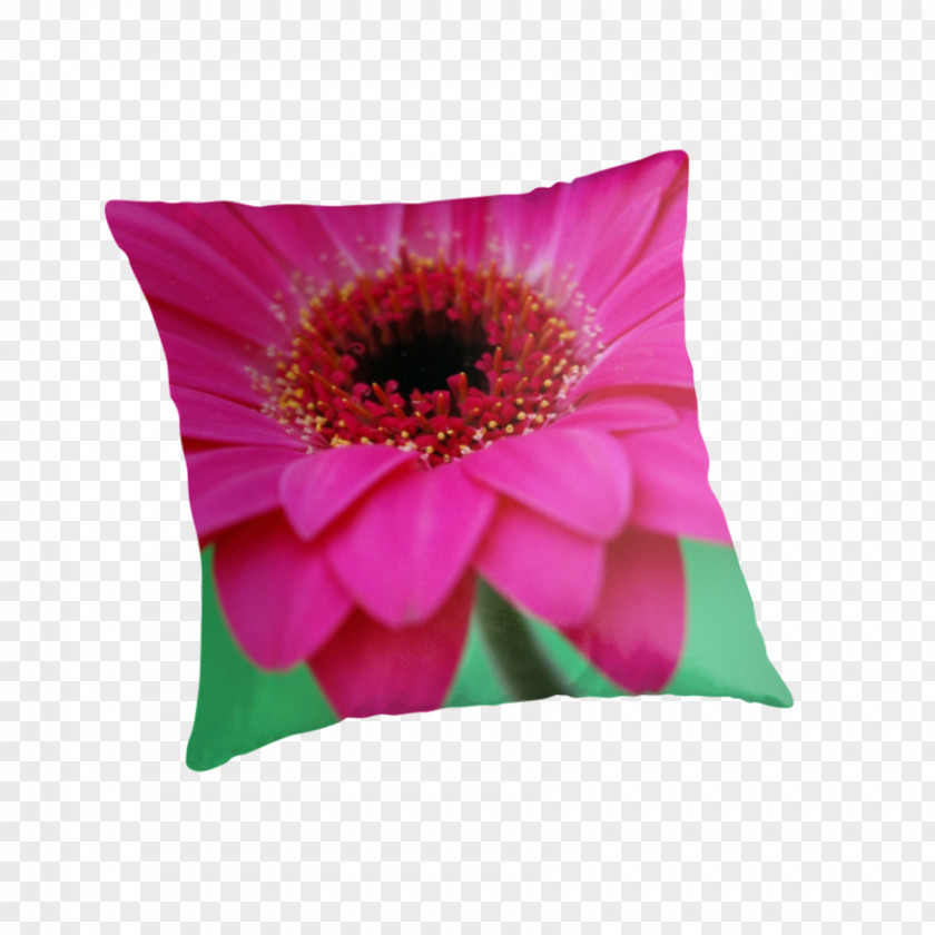 Red Petals Throw Pillows Cushion Flowering Plant Petal PNG