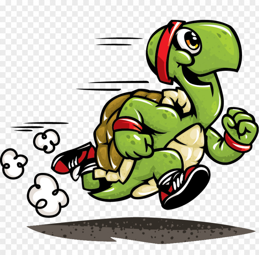 Tortoide Turtle The Tortoise And Hare Running Clip Art PNG