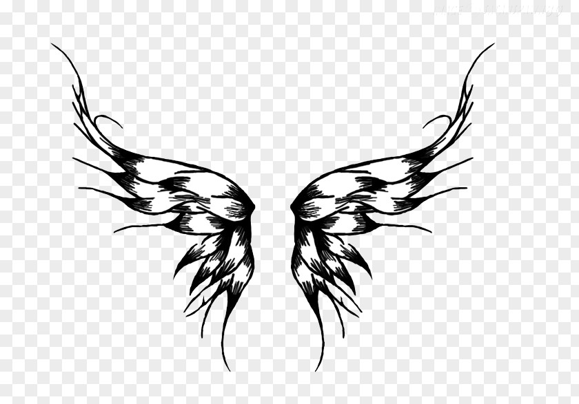 Wings Tattoos Transparent Images Butterfly Tattoo PNG