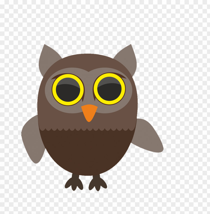Cartoon Owl Bird Illustration PNG