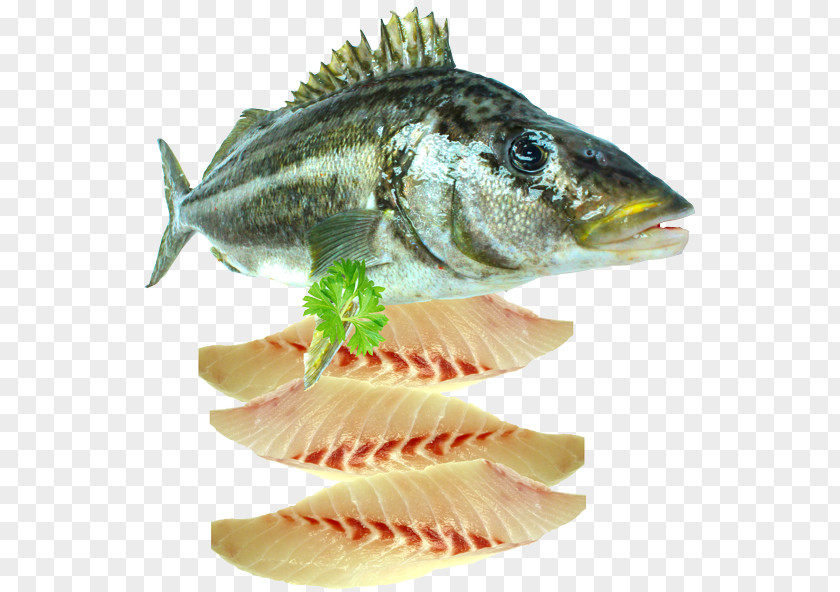 Fresh Material Fish Fillet Seafood PNG