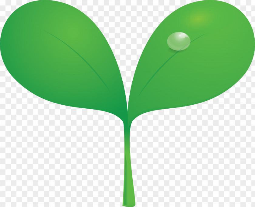 Sprout Bud Seed PNG