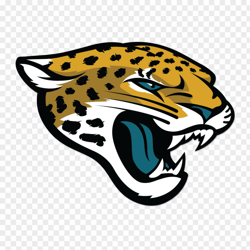 Cheetah Jacksonville Jaguars EverBank Field Houston Texans NFL San Francisco 49ers PNG