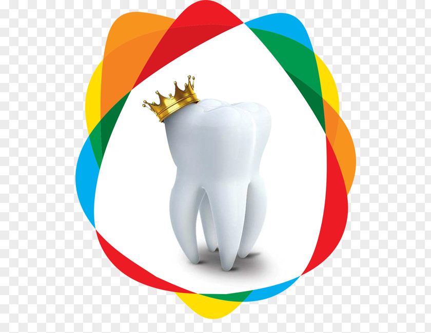 Crown Human Tooth Clip Art Dentistry PNG