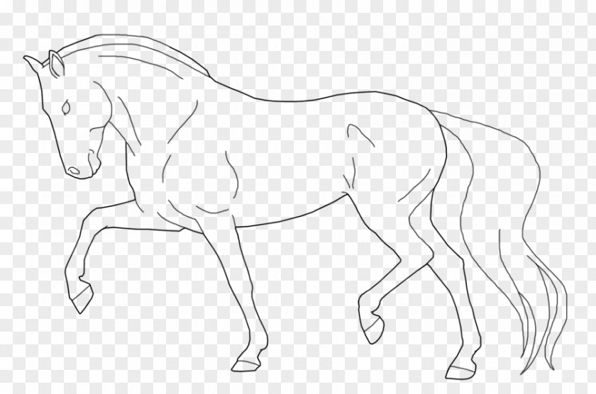 Galloping Horse Line Art Stallion Drawing Mustang PNG
