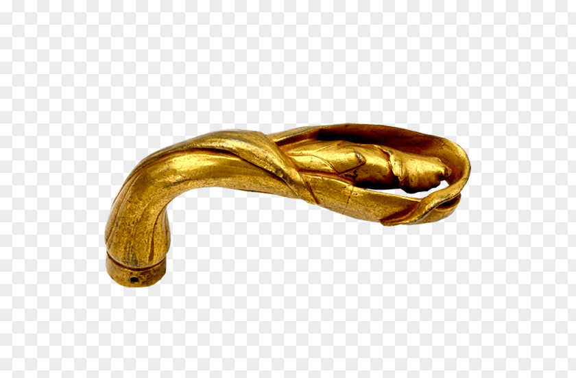 Gold Reptile Material Body Jewellery PNG