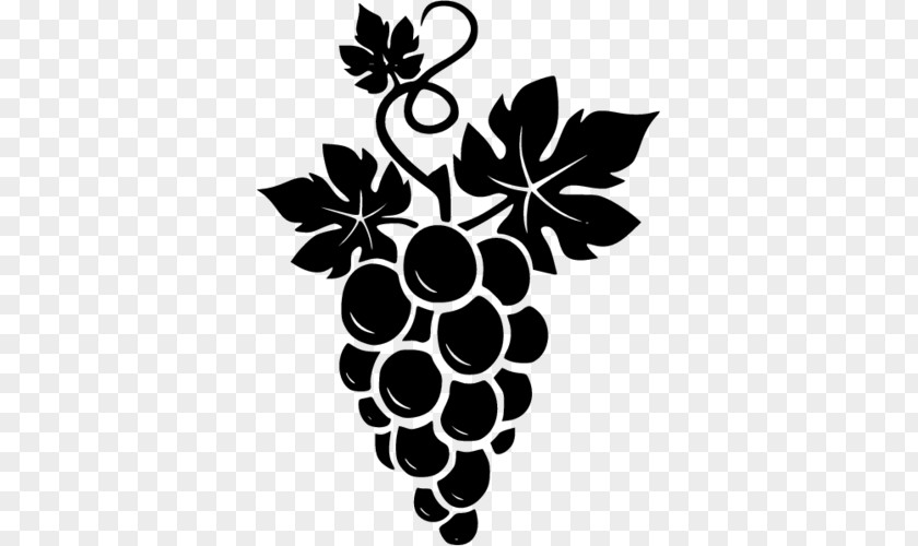 Grape Table Grapevines PNG