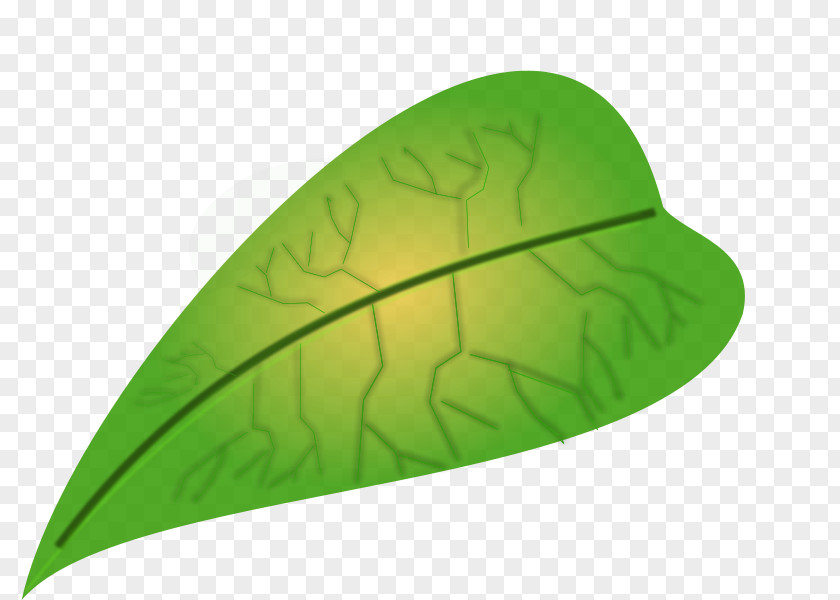 Green Leaf Icon Clip Art PNG