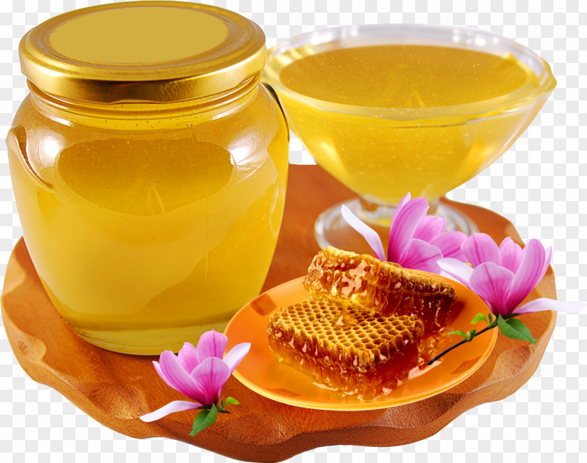 Honey Bee Honeycomb Savior Of The Feast Day PNG