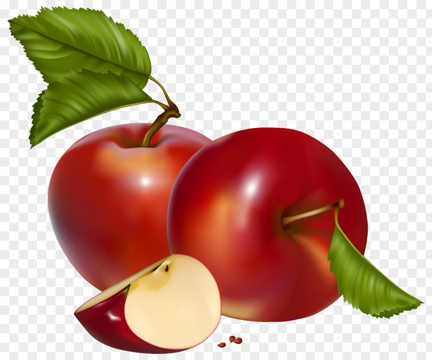 Pomegranate Apple Desktop Wallpaper Clip Art PNG