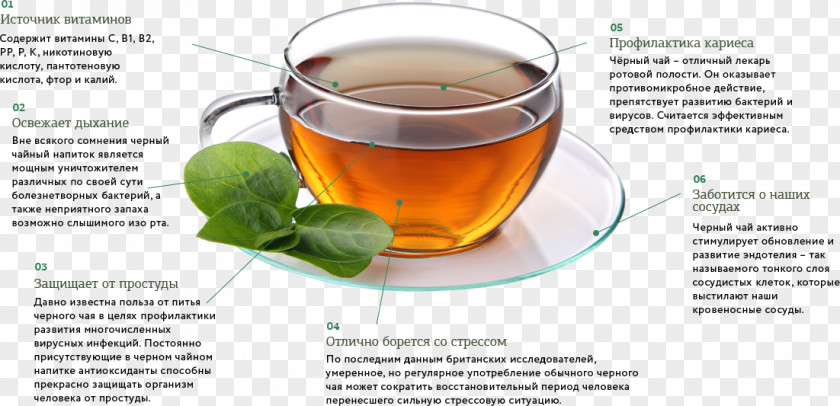 Tea Green Teacup Assam Black PNG