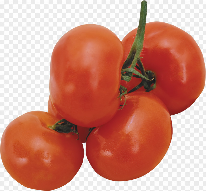Tomato Berry Cucumber Vegetable Fruit PNG