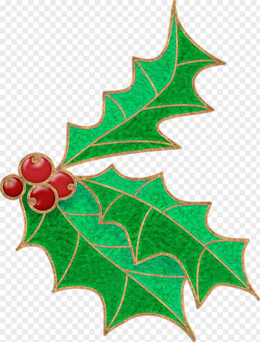 Christmas Ornament Aquifoliales Leaf PNG