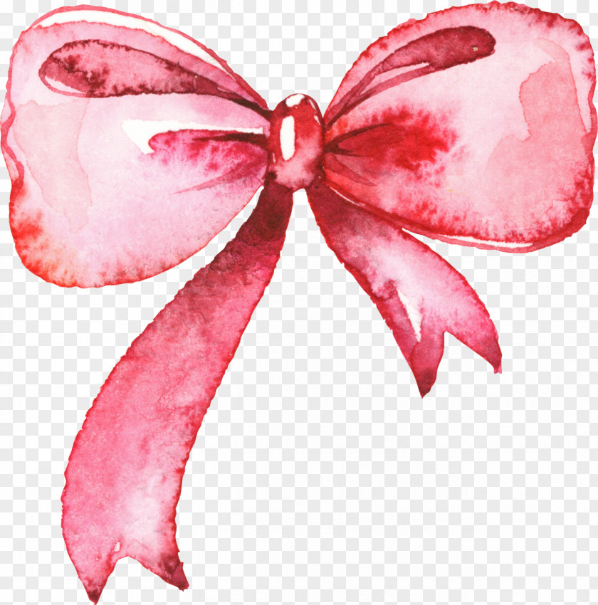 Hand-painted Bow Watercolor Painting Clip Art PNG