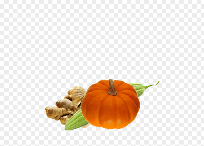 Many Vegetables Pumpkin Calabaza Clip Art PNG