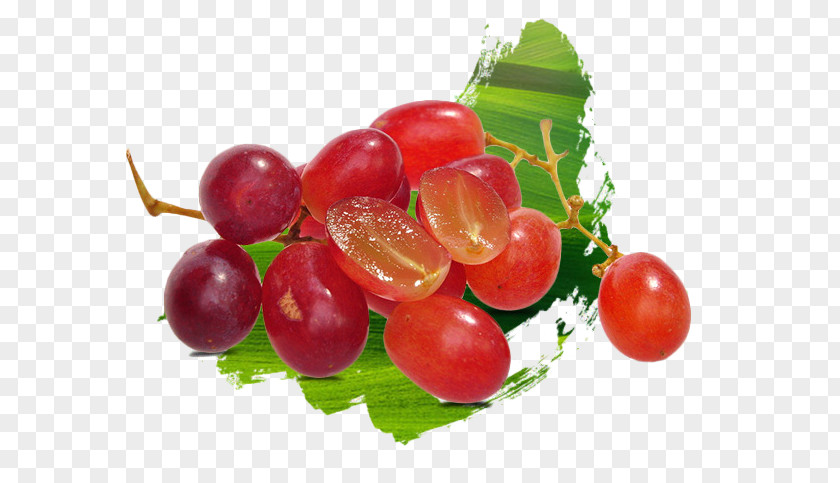 Red Design Renderings Zante Currant Fruit Salad Rice Pudding Tomato Grape PNG