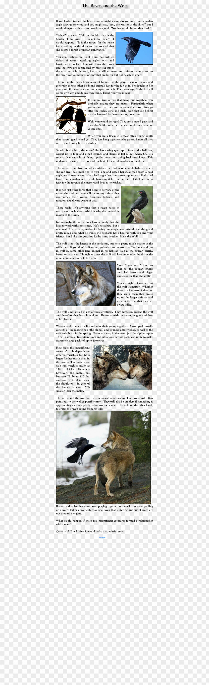 Bag Gray Wolf Handbag Tote Animal PNG