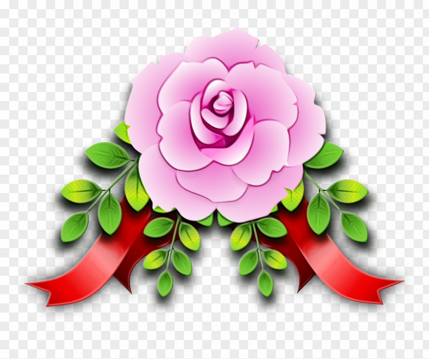 Camellia Rose Order Floral Flower Background PNG