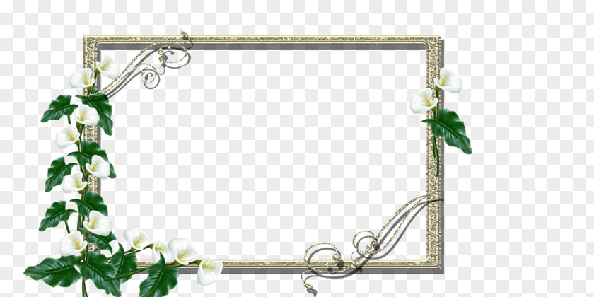 Esp Picture Frames Photography GIMP PNG