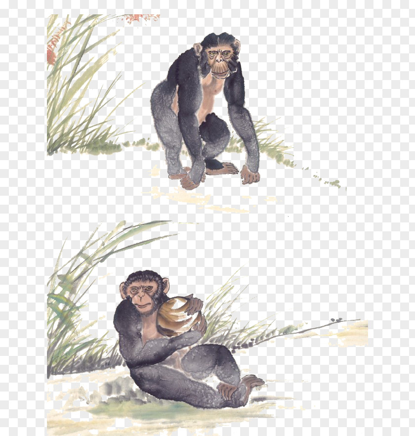 Hand-painted Gorilla Common Chimpanzee Orangutan PNG
