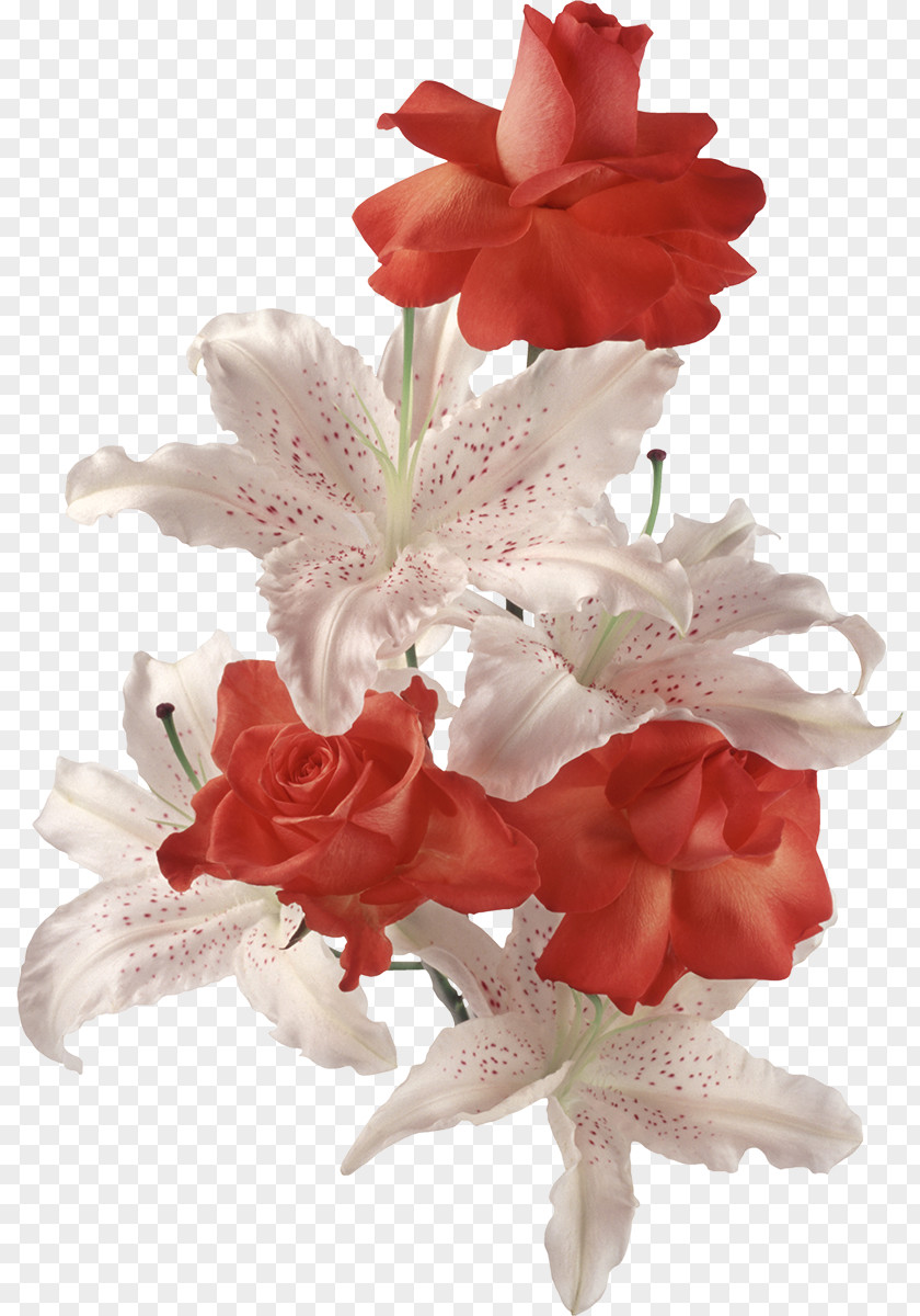 Lilly Cut Flowers Flower Bouquet Lilium PNG