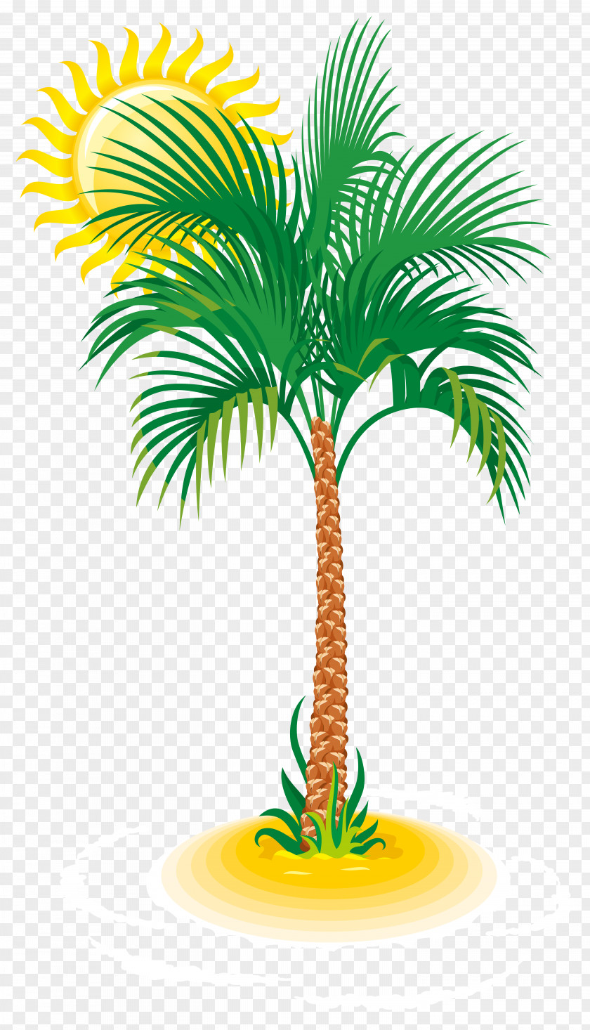 Palm And Sun Clip Art Image Arecaceae Tree PNG