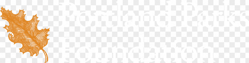 Computer Desktop Wallpaper Close-up Line Font PNG