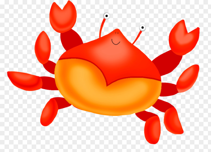 Crab Drawing Cartoon PNG