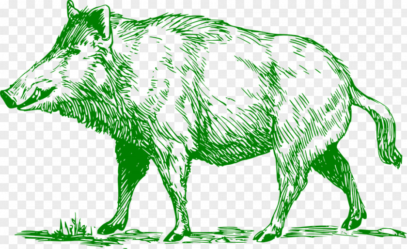 A Green Boar Walking On The Road Common Warthog Hunting Clip Art PNG