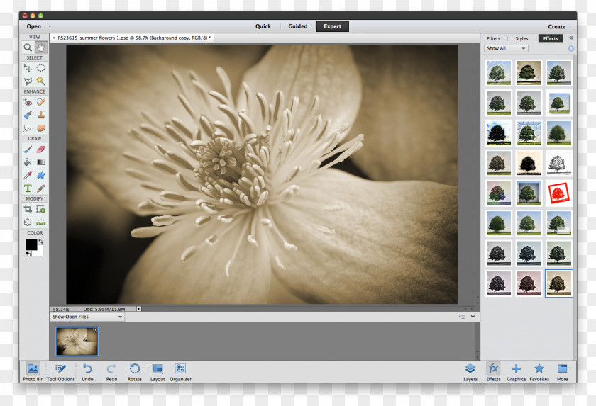 Adobe Photoshop Elements Image Editing Lightroom PNG