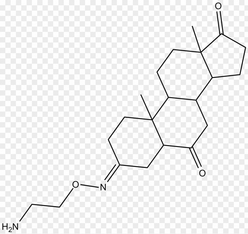 Angle Material Point Pattern PNG