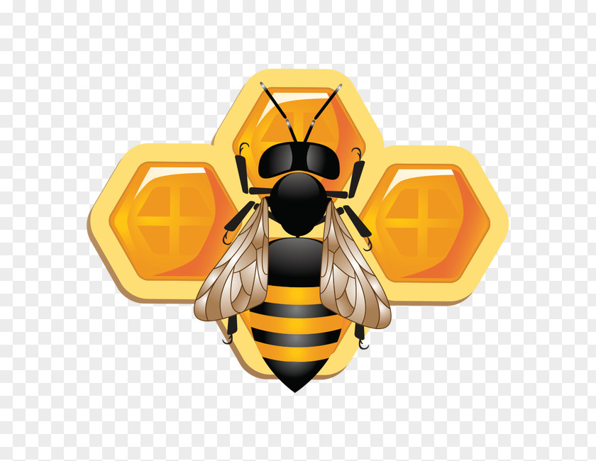 Bee Honey Beehive Illustration PNG
