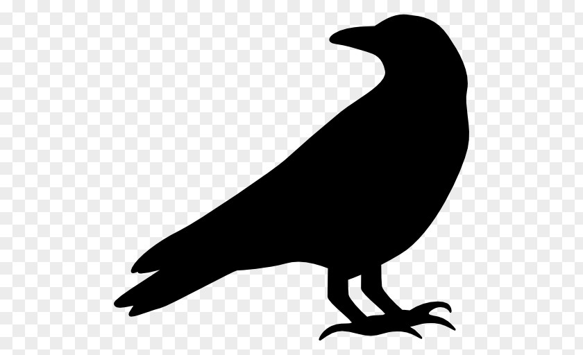 Crow Clip Art PNG