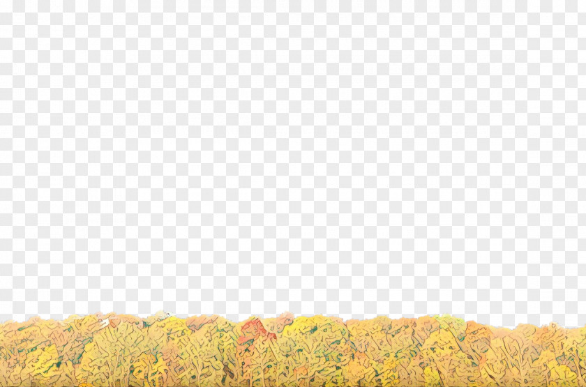 Meadow Field Green Grass Background PNG
