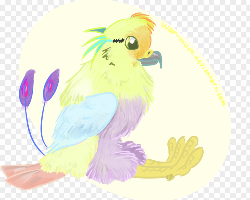 Parrot Beak Feather Drawing PNG