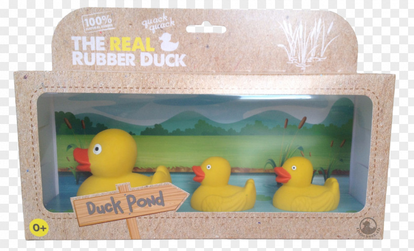 Toy Rubber Duck Plastic Giraffe PNG