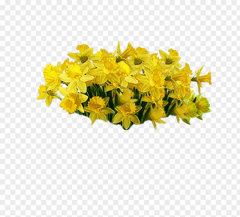 Yellow Flowers Cut Plant PNG