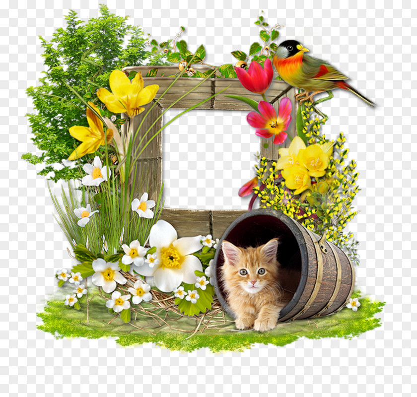 Cat Floral Design Cut Flowers Blog PNG