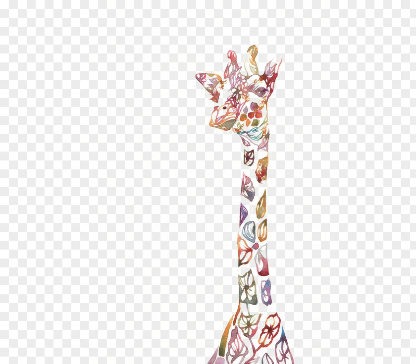 Giraffe Northern Baby Giraffes Animal PNG