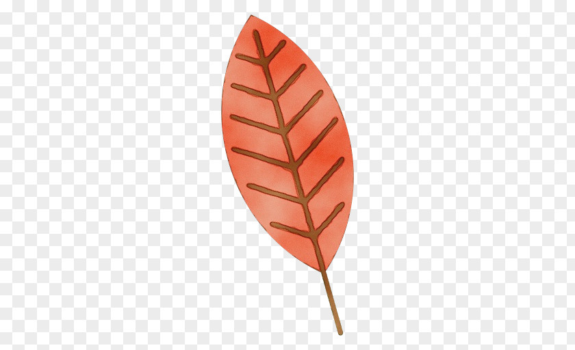 Leaf Science Biology Plant Structure PNG